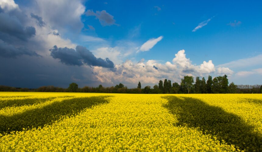 NVKFB statement on war in Ukraine